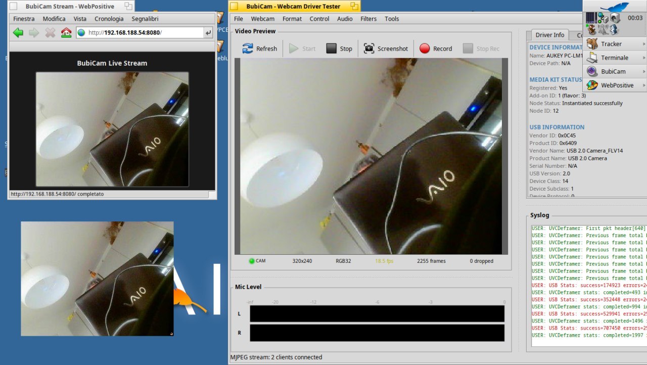 Schermata di UVC Webcam Driver for Haiku