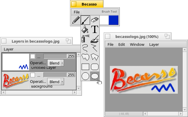 Schermata di becasso