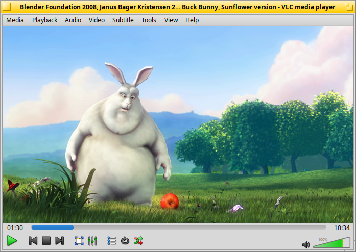 Schermata di vlc