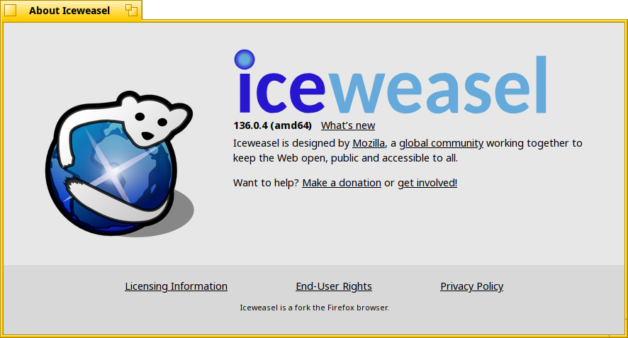 Schermata di iceweasel_bin