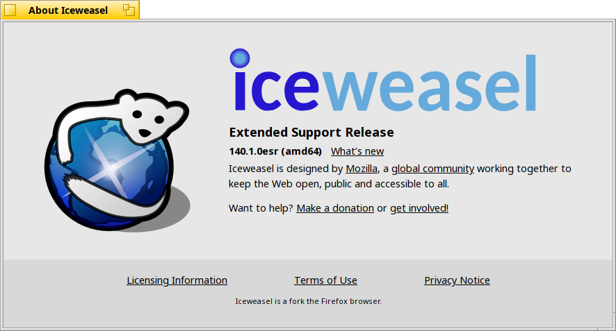Schermata di iceweasel_esr_bin